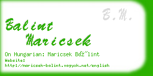 balint maricsek business card